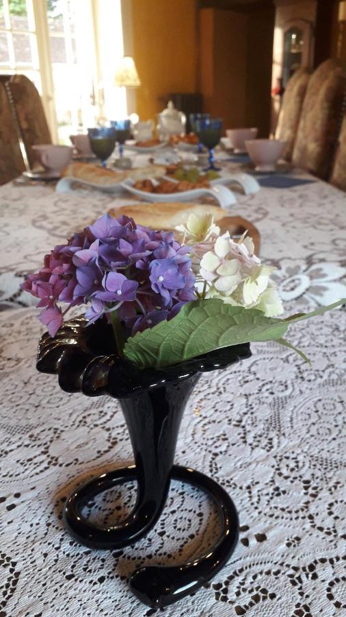 Les Terrasses Bed & Breakfast Degre Exterior photo